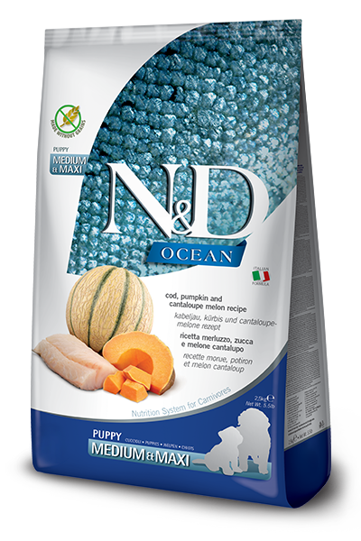 N&D Ocean Cod, Pumpkin and Cantaloupe Melon Puppy Medium/Maxi